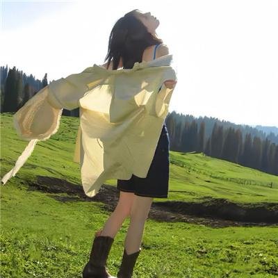 美国鼠谭2：西部历险记