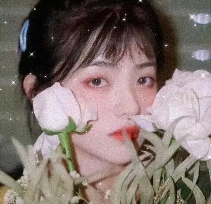 摇曳百合第二季